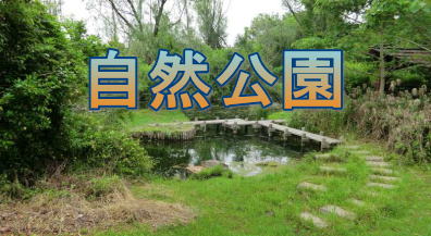 自然公園