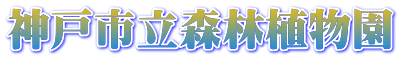 神戸市立森林植物園