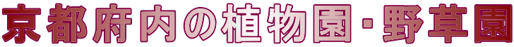 京都府内の植物園・野草園